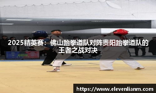 2025精英赛：佛山跆拳道队对阵贵阳跆拳道队的王者之战对决