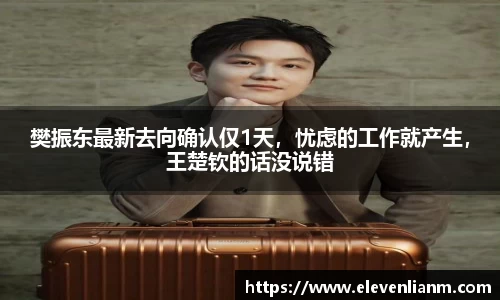 樊振东最新去向确认仅1天，忧虑的工作就产生，王楚钦的话没说错